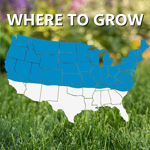 Blue Panther Kentucky Bluegrass Grass Seed (25 lb) X75281
