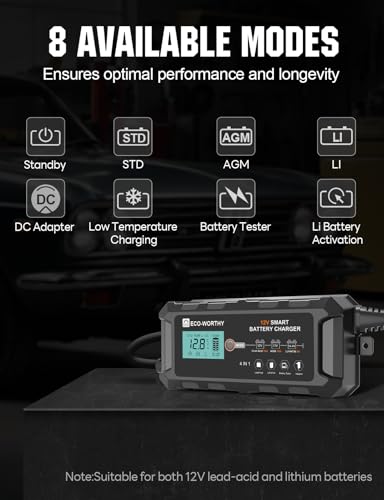 10A 12V Lifepo4 Battery Charger I285742