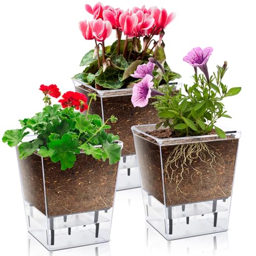 3 Pack 2.7 Inch Self Watering Planter Pot N7544