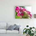 Canvas Art 18x24 V1683