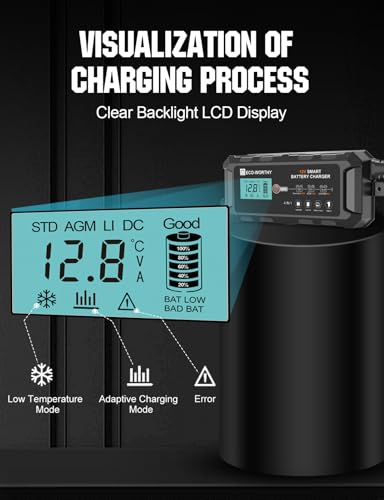 10A 12V Lifepo4 Battery Charger I285742