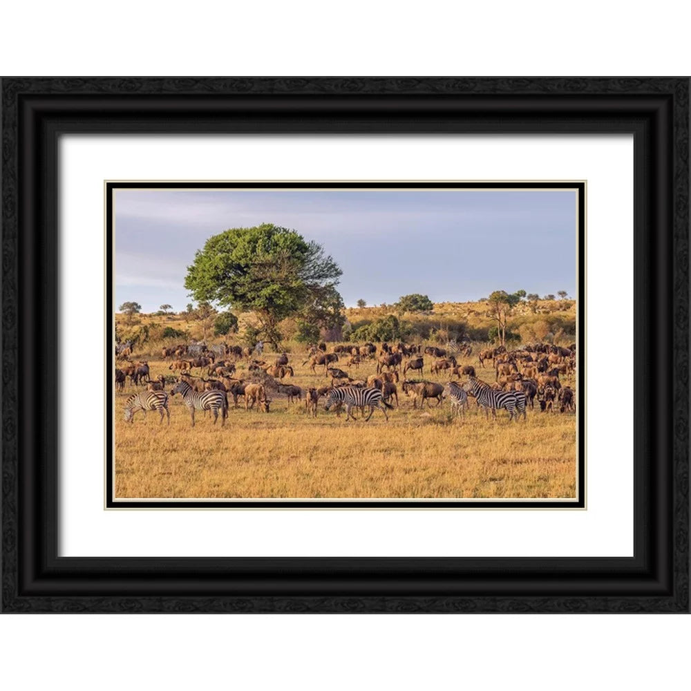18x13 Black Ornate Wood Framed Art Print F290
