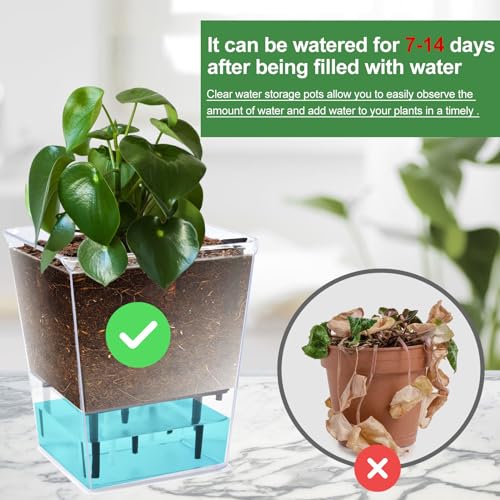 3 Pack 2.7 Inch Self Watering Planter Pot N7544