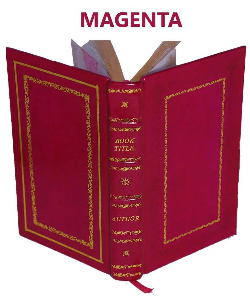 La bible d'Amiens 1910 J833177