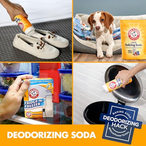 1 Pound Pack of 12 Baking Soda G3718
