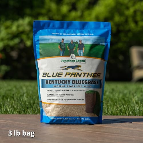 Blue Panther Kentucky Bluegrass Grass Seed (25 lb) X75281