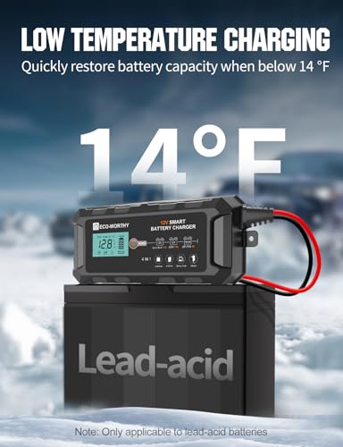 10A 12V Lifepo4 Battery Charger I285742