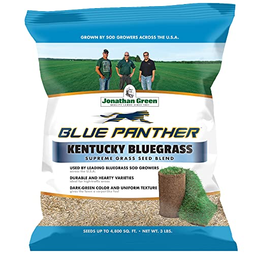 Blue Panther Kentucky Bluegrass Grass Seed (25 lb) X75281