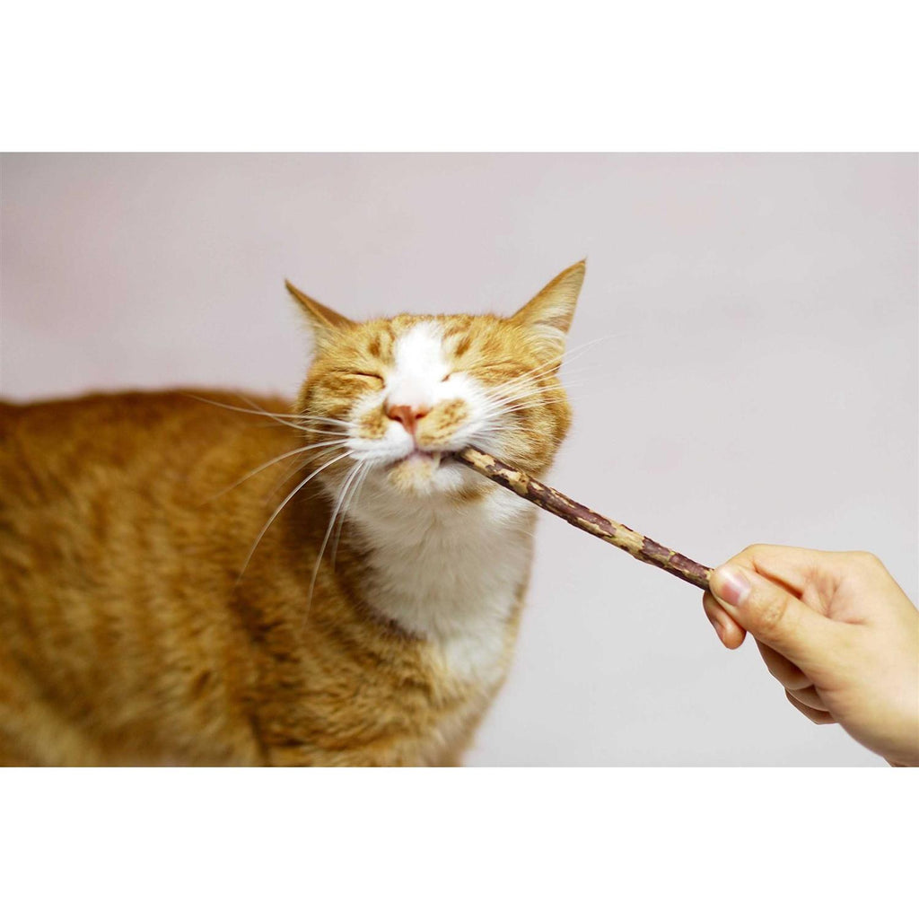 Silver Vine Stick Cat Chew Toy I343395