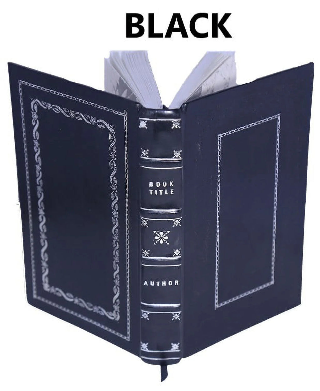 La bible d'Amiens 1910 J833177