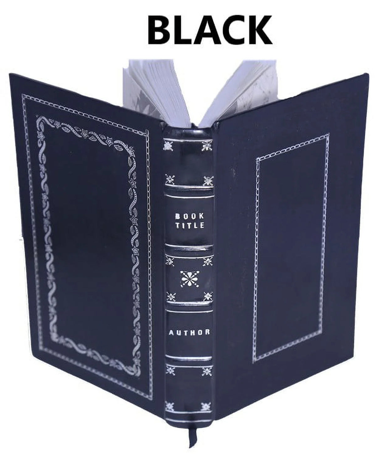 La bible d'Amiens 1910 J833177