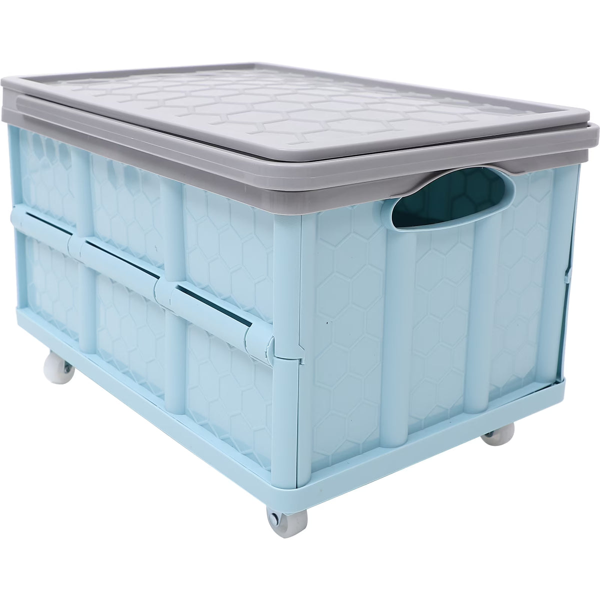 60 Gallon Blue Storage Container E901119