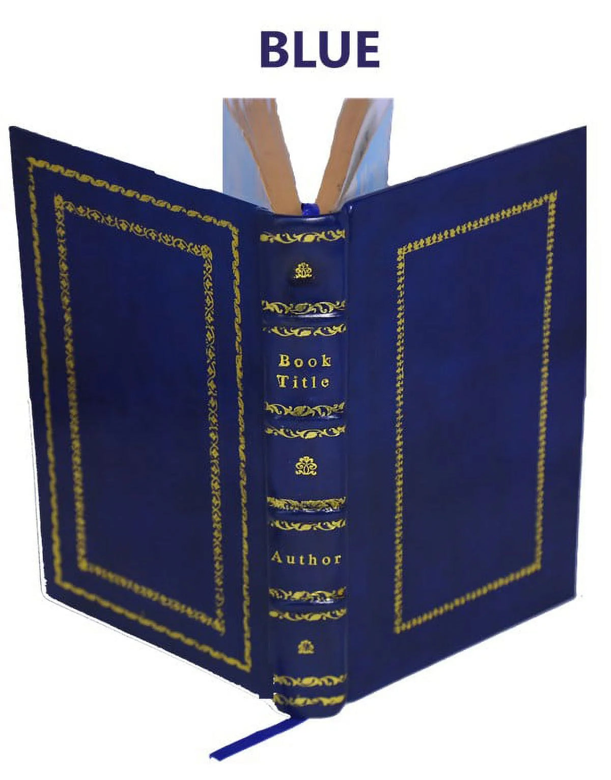 La bible d'Amiens 1910 J833177