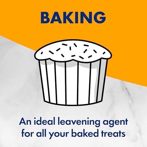 1 Pound Pack of 12 Baking Soda G3718