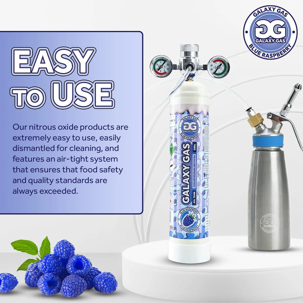 Blue Raspberry Whipped Cream Dispenser Tank 580 Gram W913