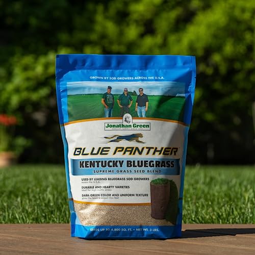 Blue Panther Kentucky Bluegrass Grass Seed (25 lb) X75281