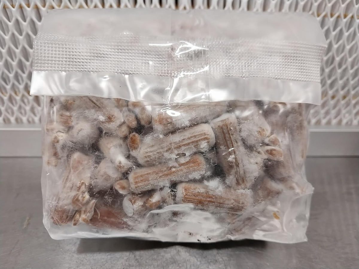 100 Lion's Mane Mushroom Plug Spawn R94477