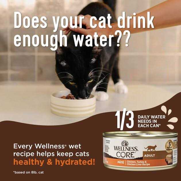 Chicken & Turkey Pate Variety Pack Wet Cat Food W6649