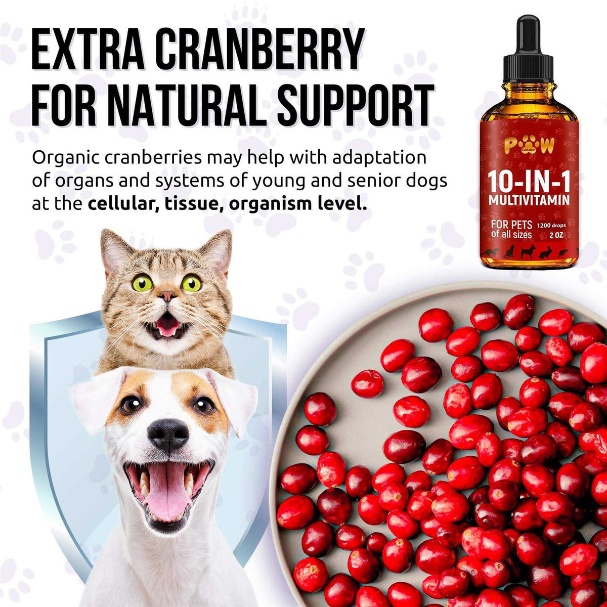 10 In 1 Cat & Dog Multivitamin Hip & Joint Vitamins C814