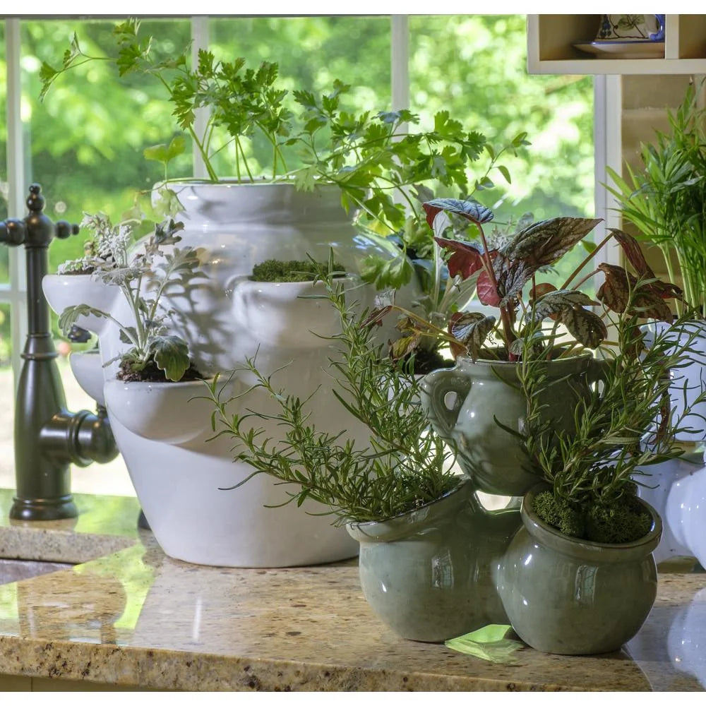 8 Pocket Ceramic Strawberry Planter in White P2582