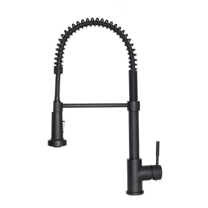 Kitchen Faucet V9768