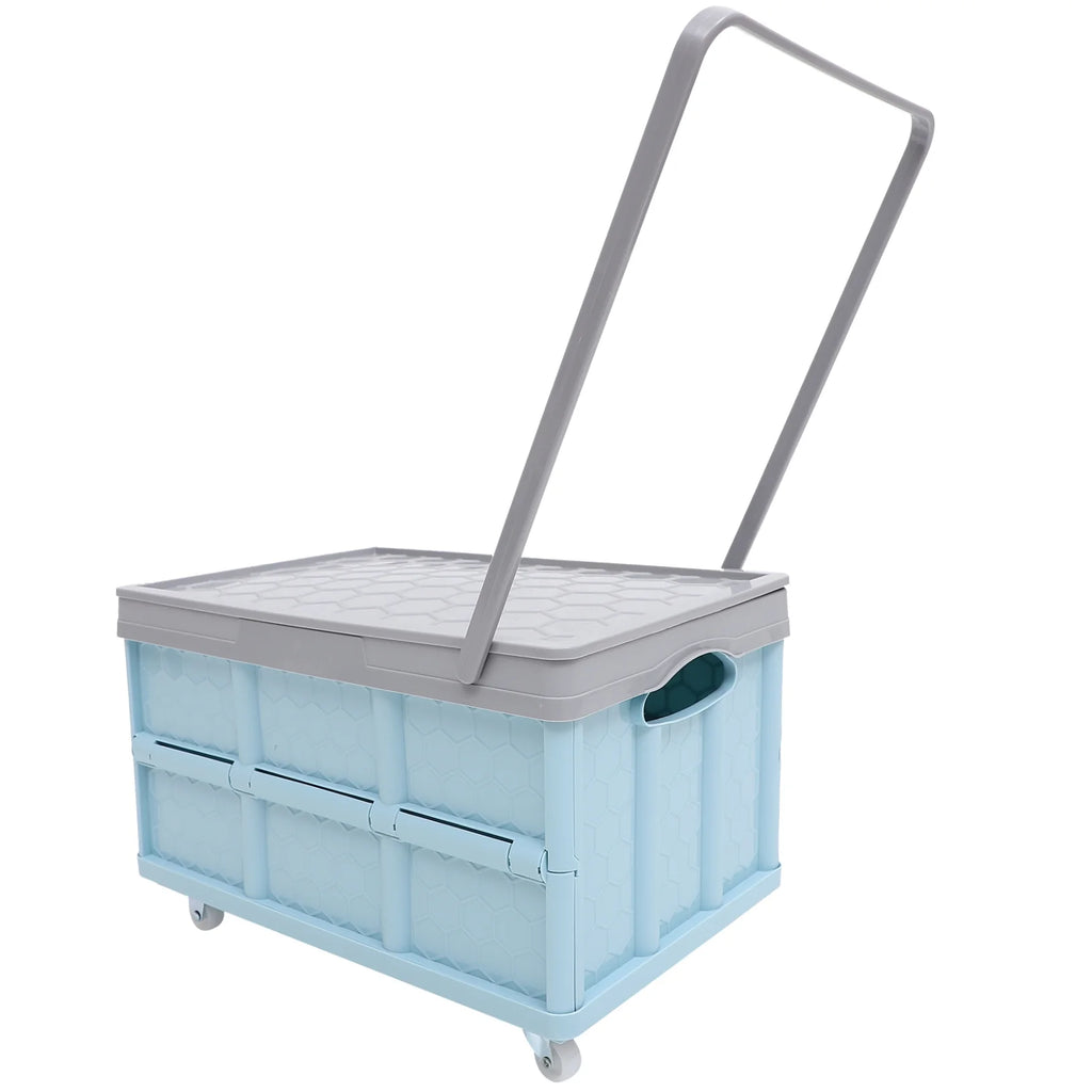 60 Gallon Blue Storage Container E901119