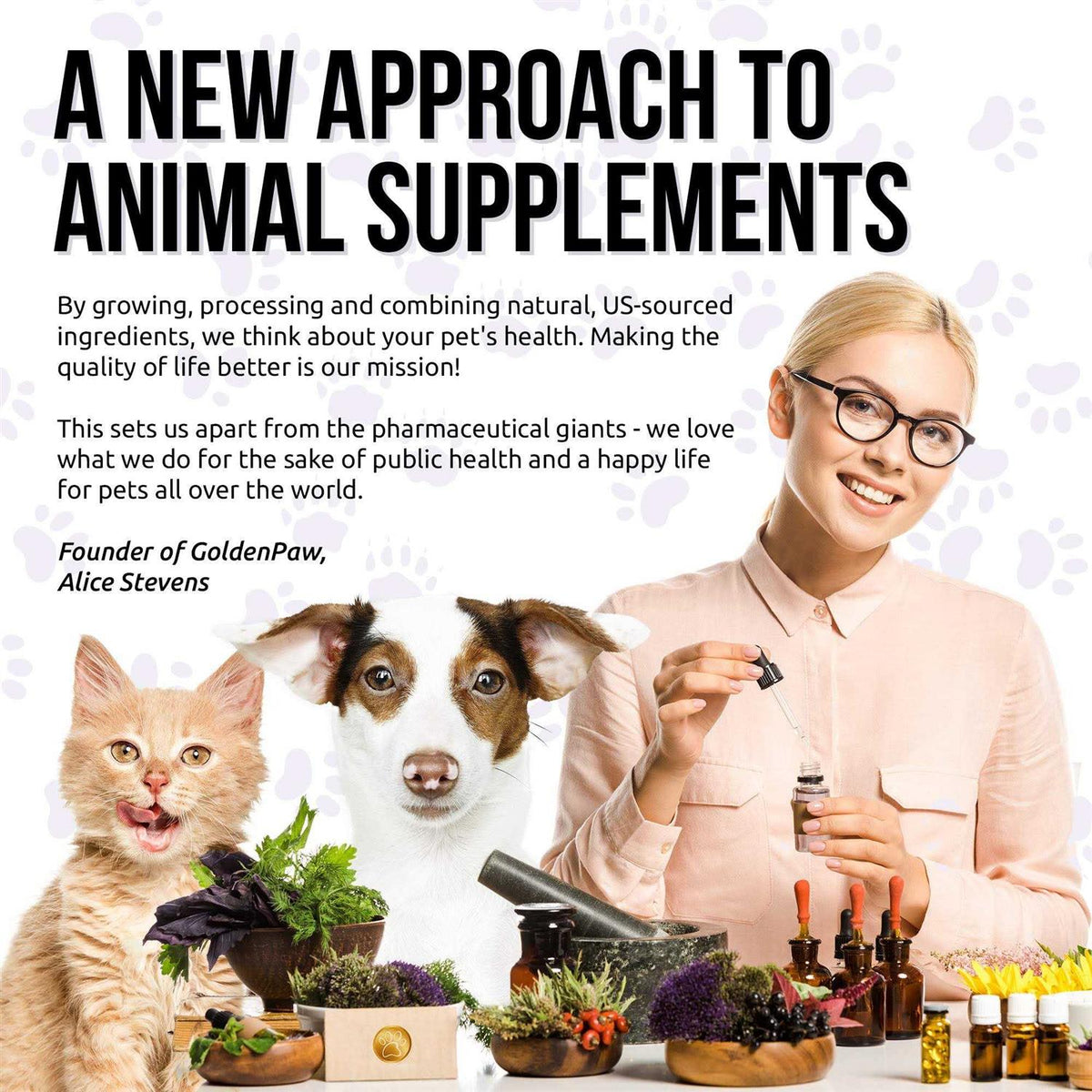 10 In 1 Cat & Dog Multivitamin Hip & Joint Vitamins C814