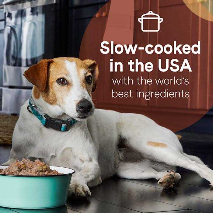 Salmon & Sweet Potatoes Wet Dog Food C67888