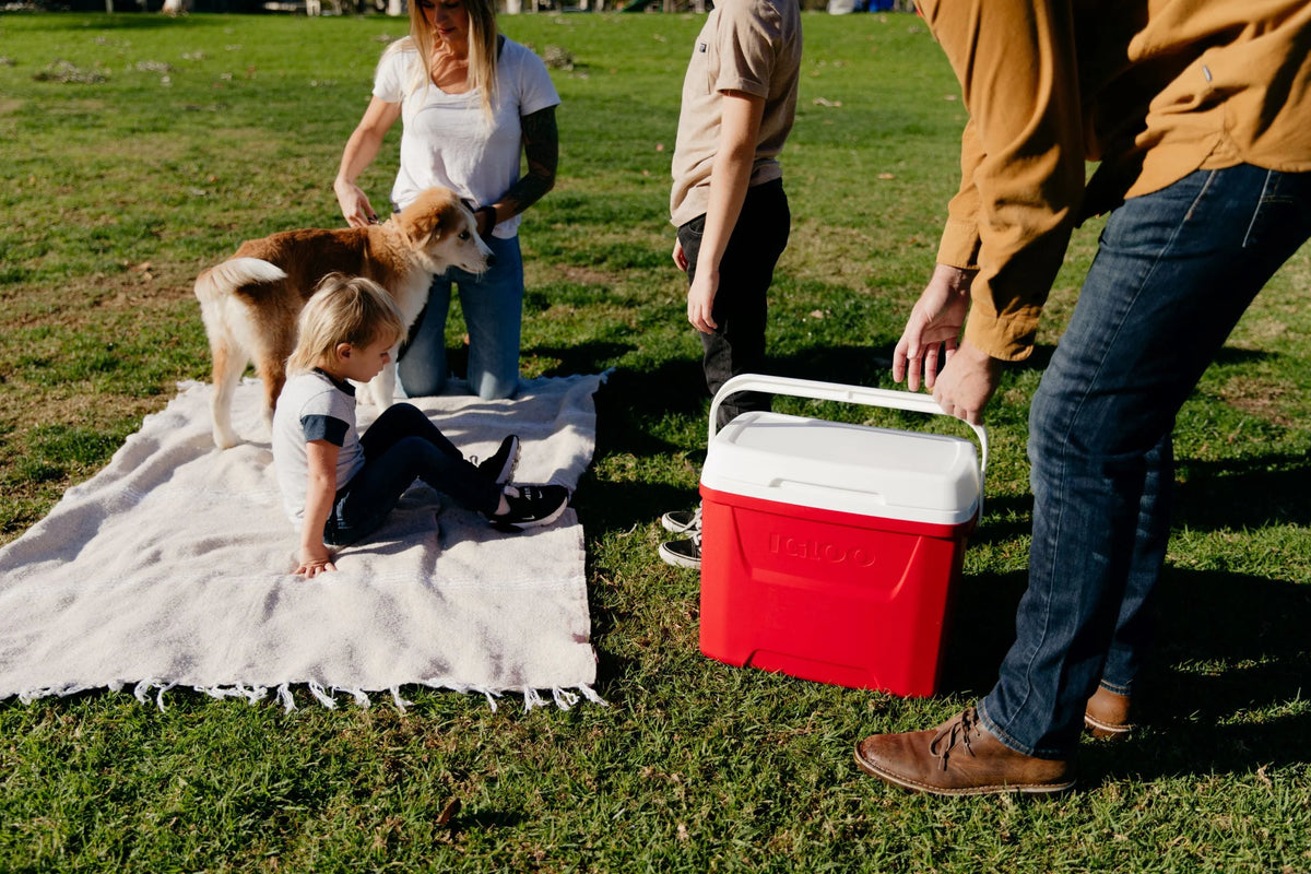 28 QT Red Ice Chest Cooler Q61374