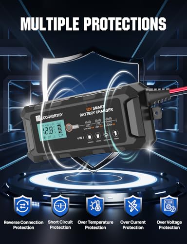 10A 12V Lifepo4 Battery Charger I285742