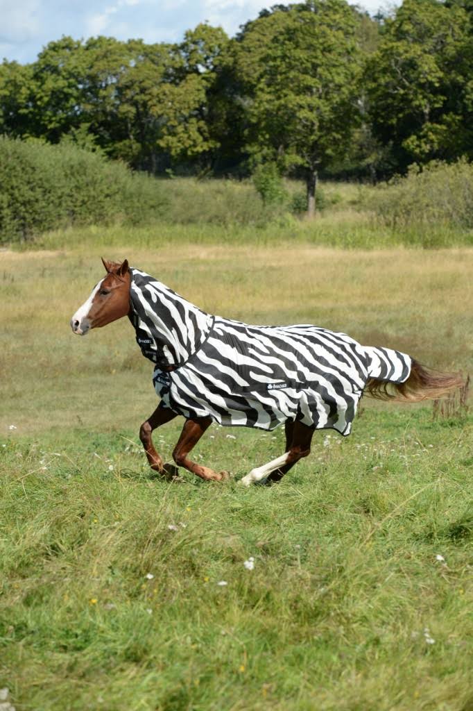 Zebra Full Neck U172